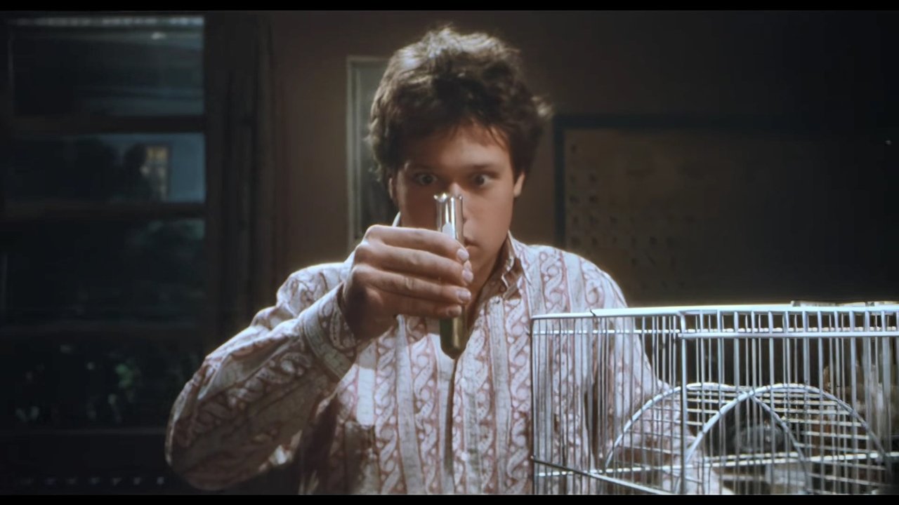 Gratë e Moshuara backdrop