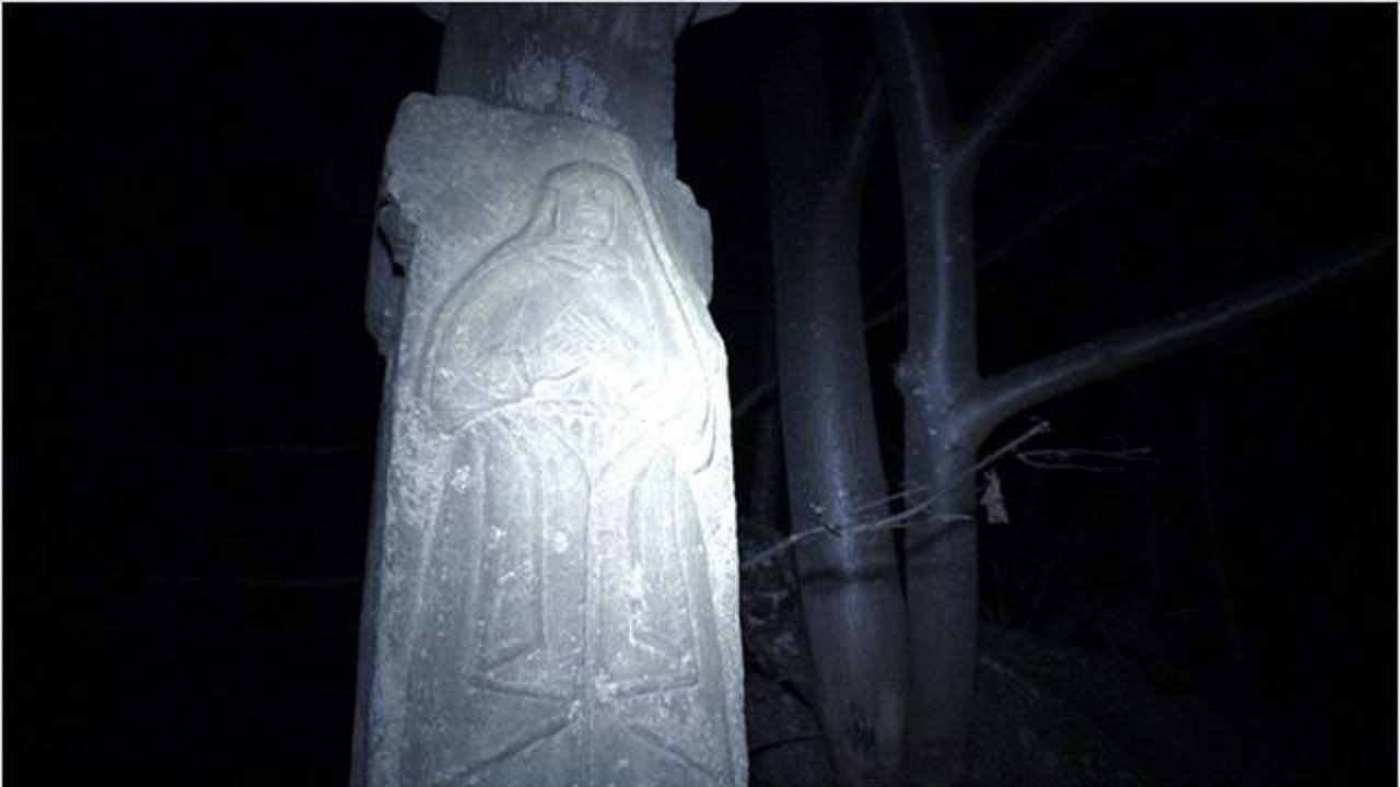 The Wilding - Shkretëtira backdrop