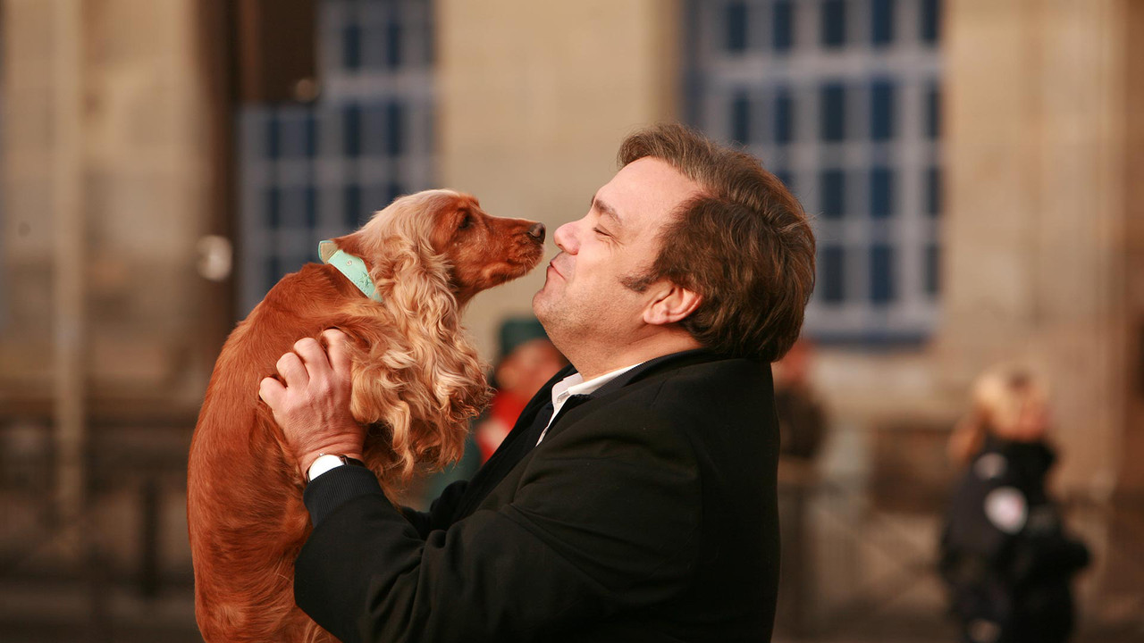 Pushimi i Maxit backdrop