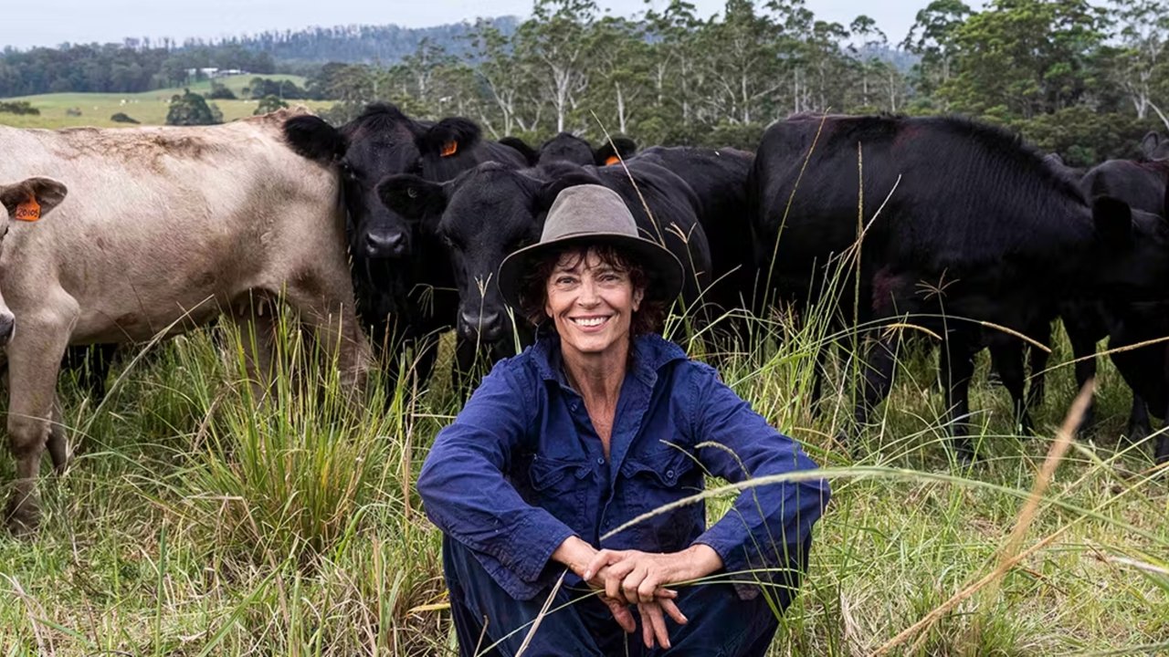 Portinari do Brasil backdrop