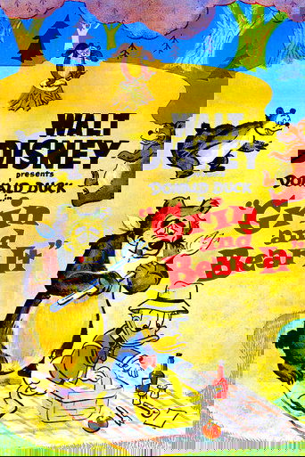 Lëkurësit e Fokave