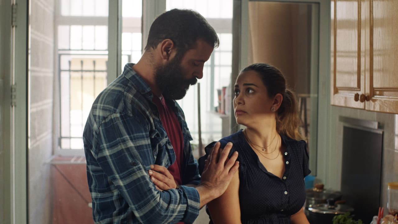 Gjykimi i Z. Wolf backdrop