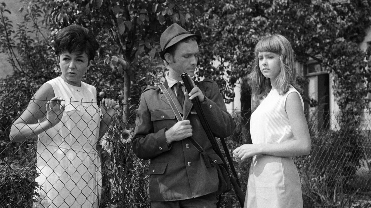 Mace të Pafalshme backdrop