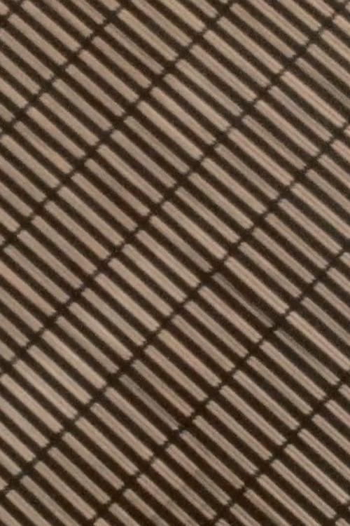 Dançuesi Vampir poster