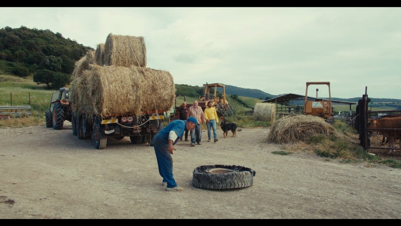 Por nuk është asgjë serioze backdrop