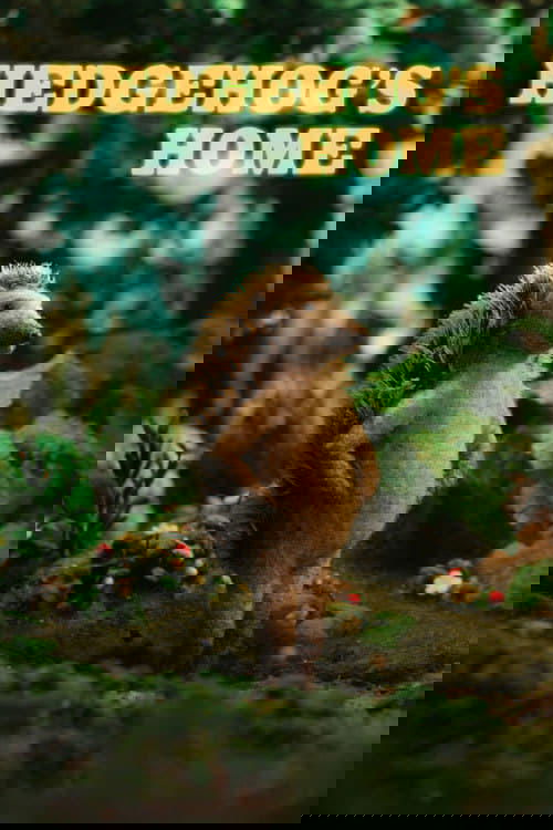 Kontrolli i Anijes poster