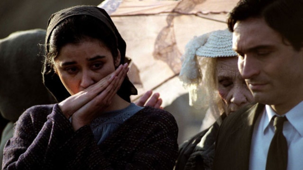 Realiteti im backdrop