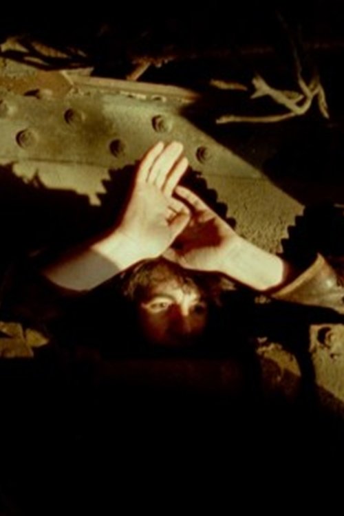 Qira e Banesës RM50 poster