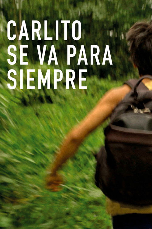 Holi i Bardhë poster