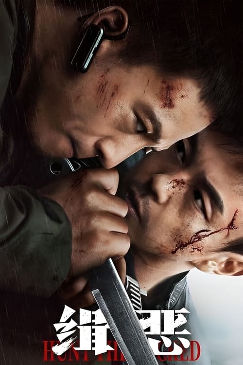 Drita në Errësirë: Kthimi i Banditit të Dritës së Kuqe poster