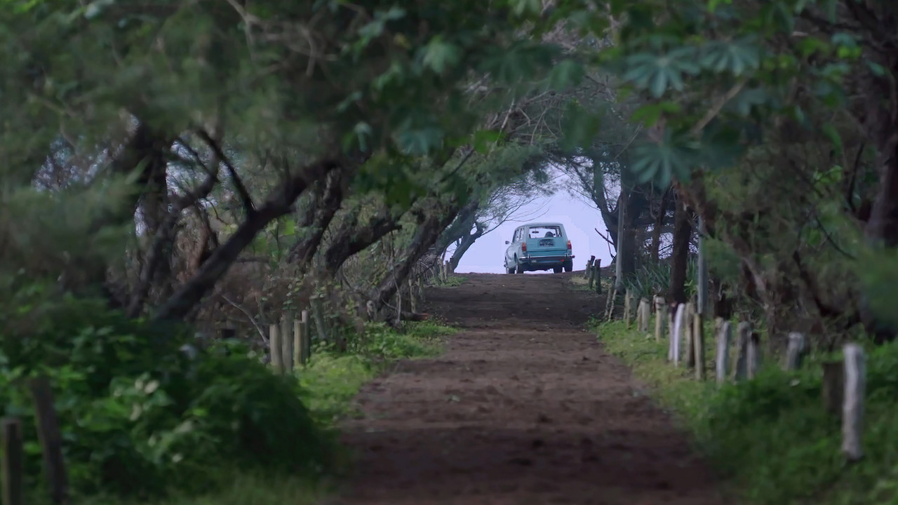 Vajzat e Natës backdrop