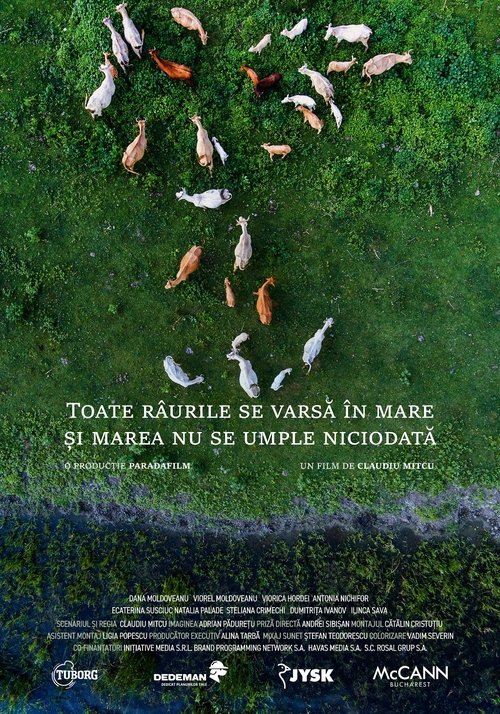 Mjeshtrat e Venusit poster