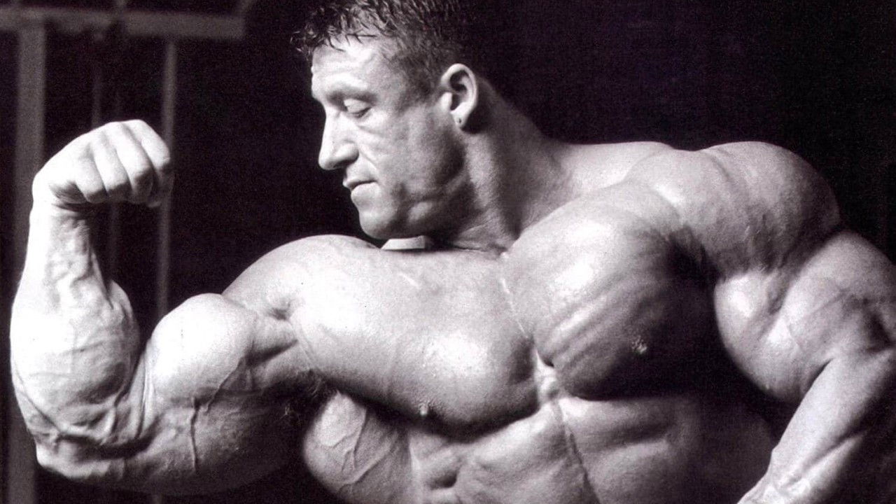 Pjesëmarrësit backdrop