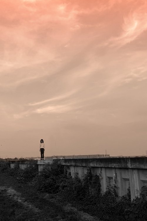 Nderi i guapparisë poster