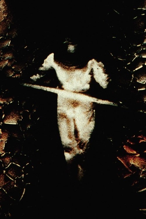 Zonja Shfarosëse poster