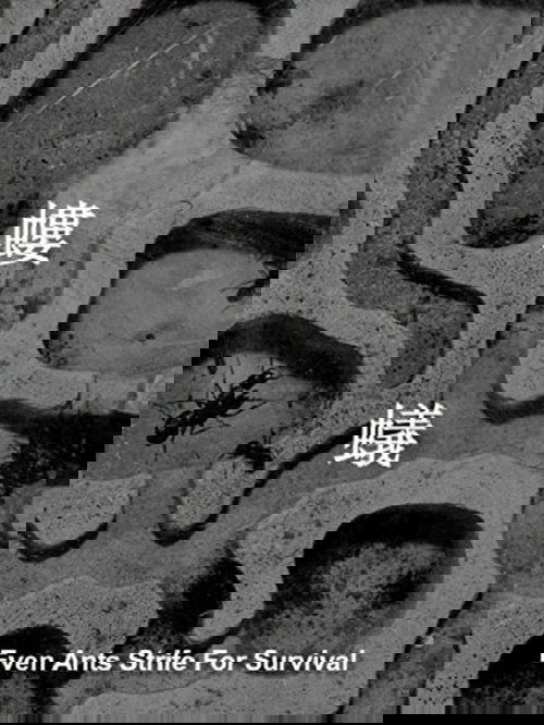 Vdes Christel nga posta poster