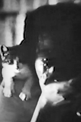 Beck 12 - Njeriu i Vetëm