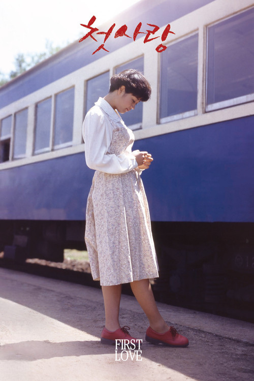 ikja në Dolomiti poster