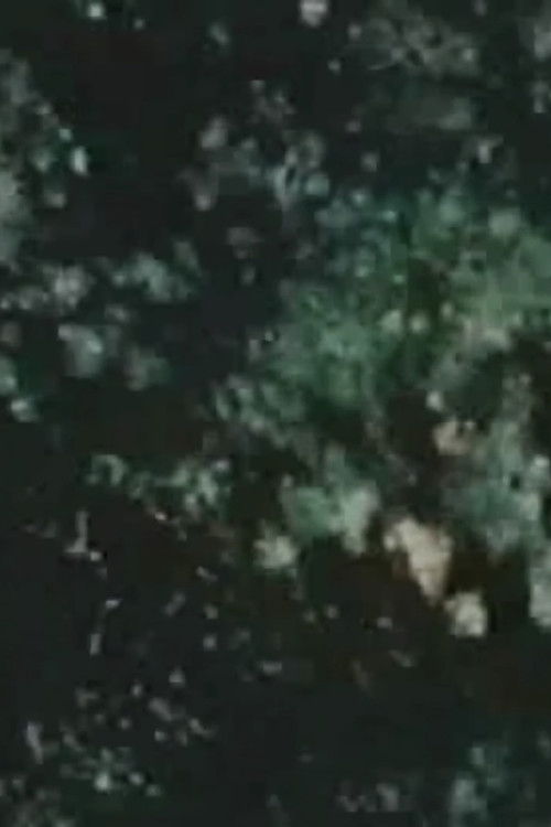 I egër dhe i gatshëm poster