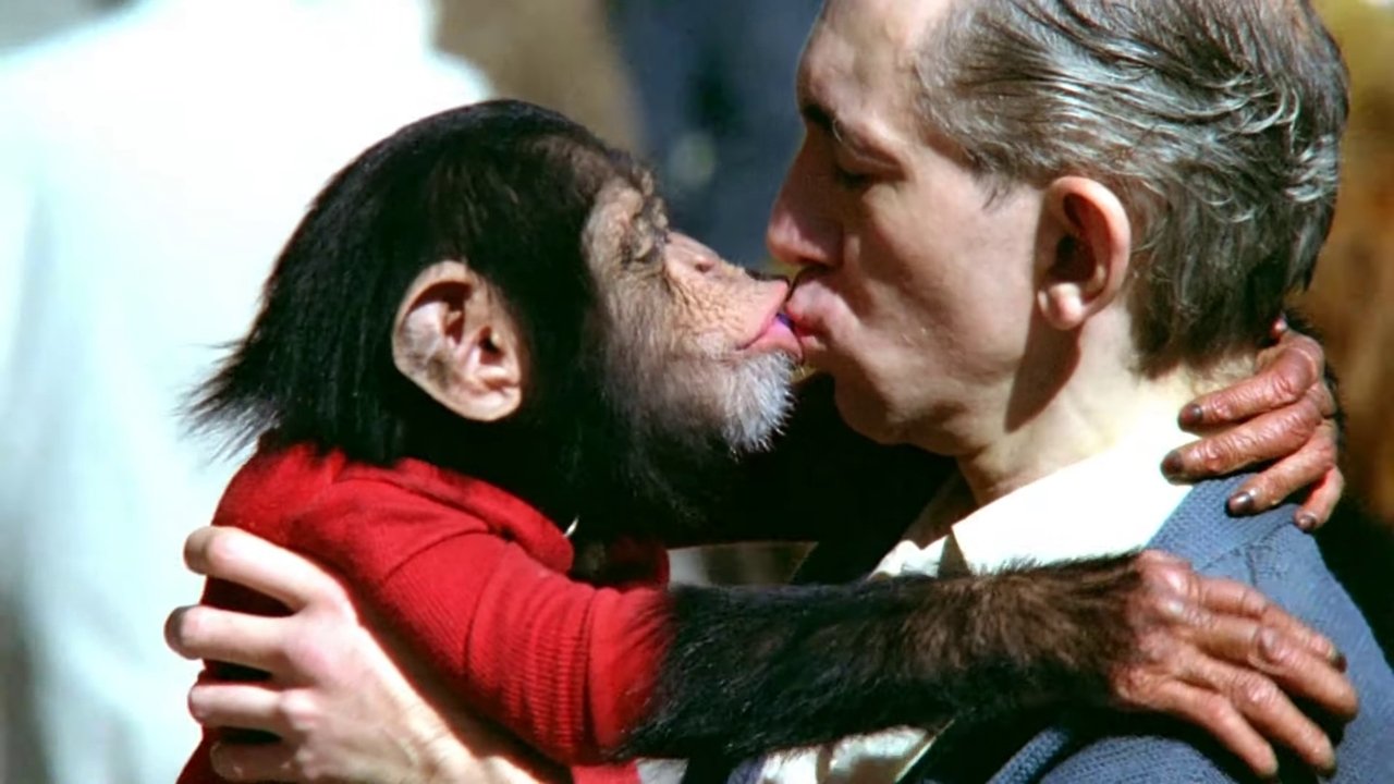 Prometeo Deportuar backdrop