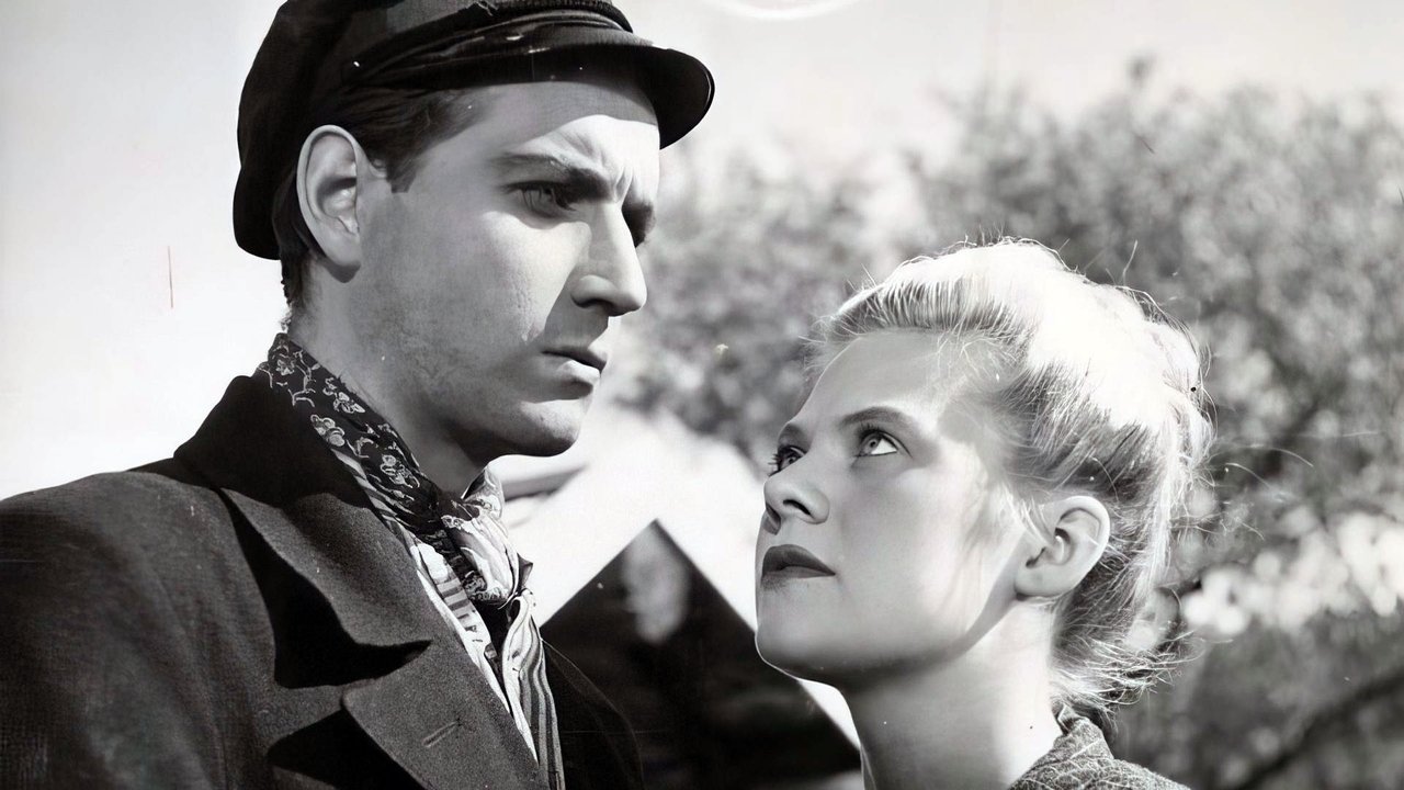 Hallo, Taksi backdrop