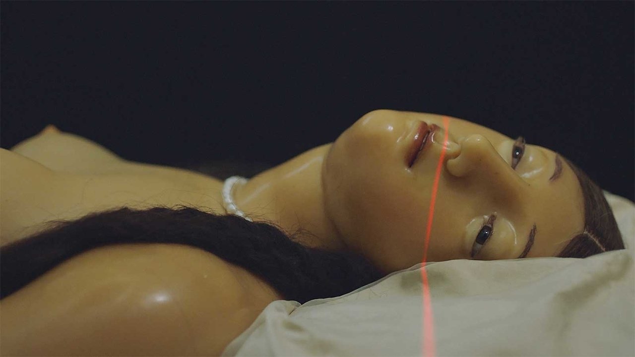 Një Udhëtim Rreth Botës backdrop