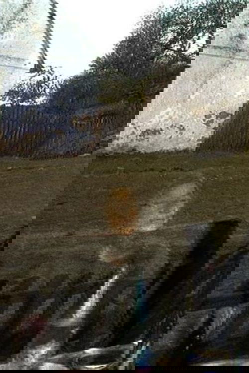 Në Kërkim të Një Burri për Nënën poster