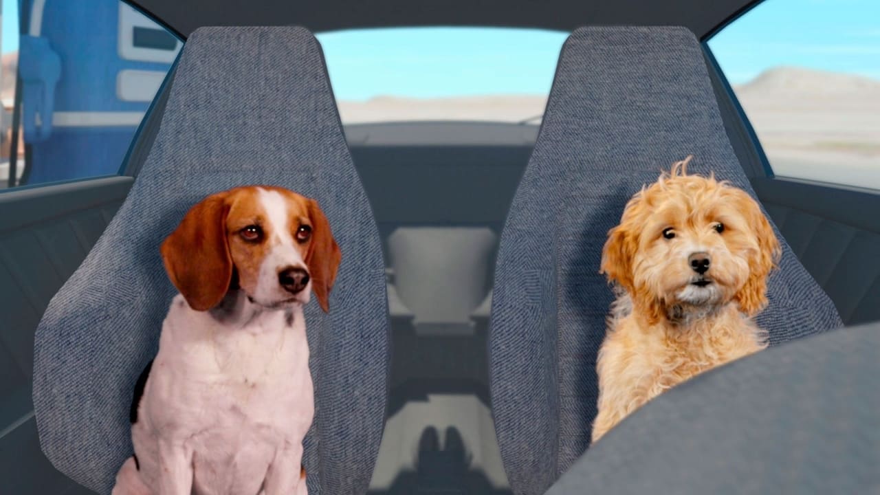 M.L.A. Natha Singh backdrop