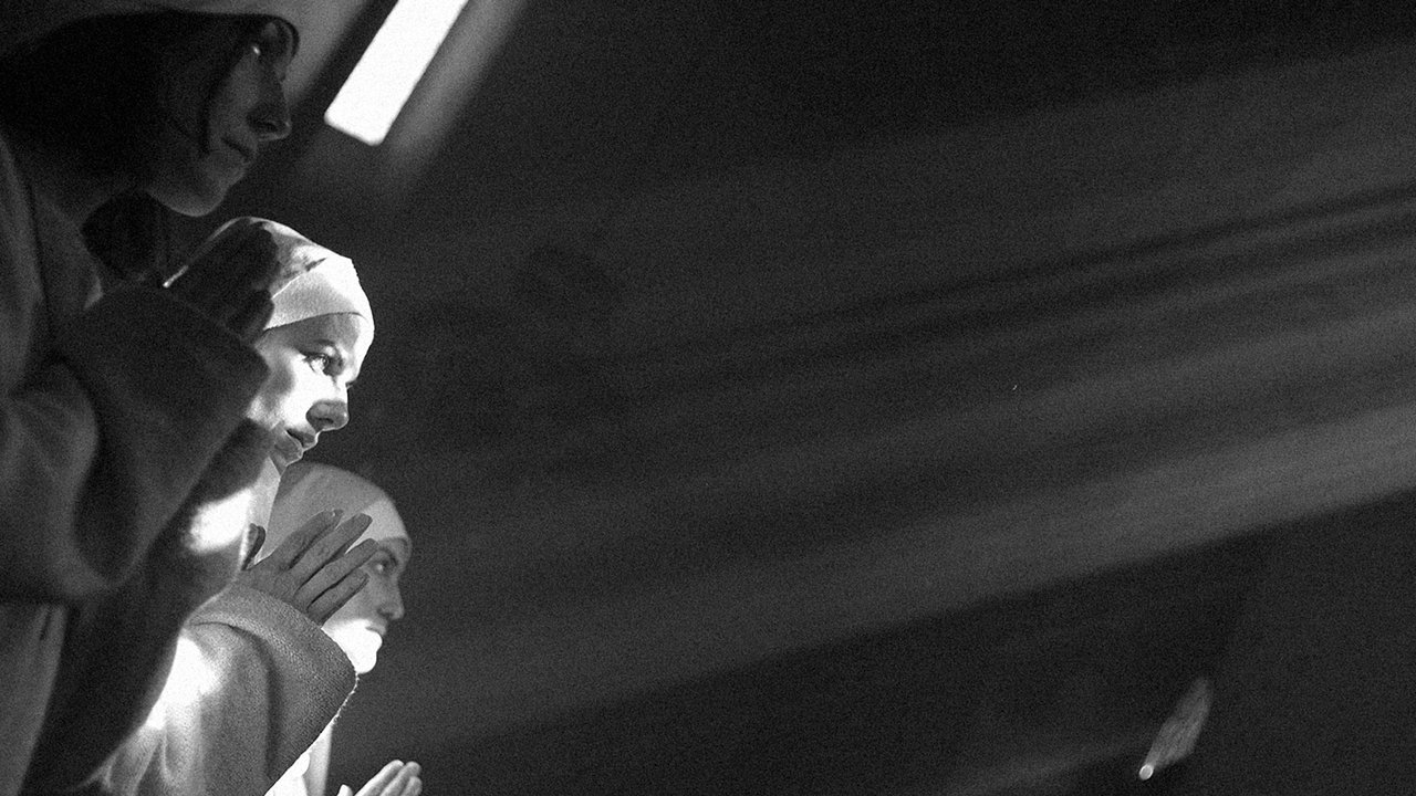 The title Aal remains the same in Albanian, as it is a proper name backdrop