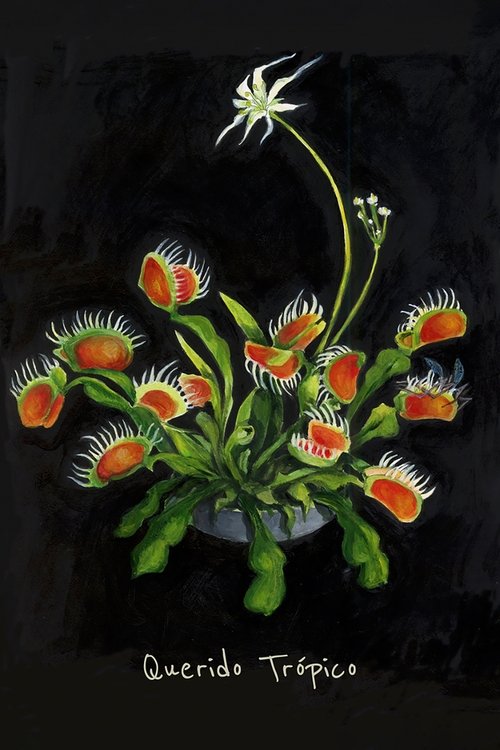 Linkin Park: Live në Rock Am Ring poster