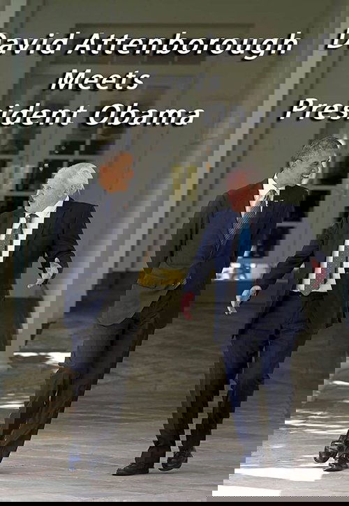 Bombë Kombëtare poster