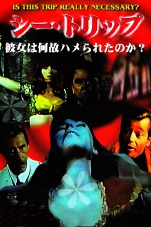 Cinderella Cindrat poster