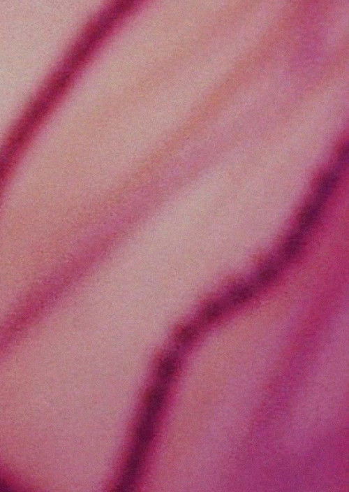 Motivi i Heshtur poster