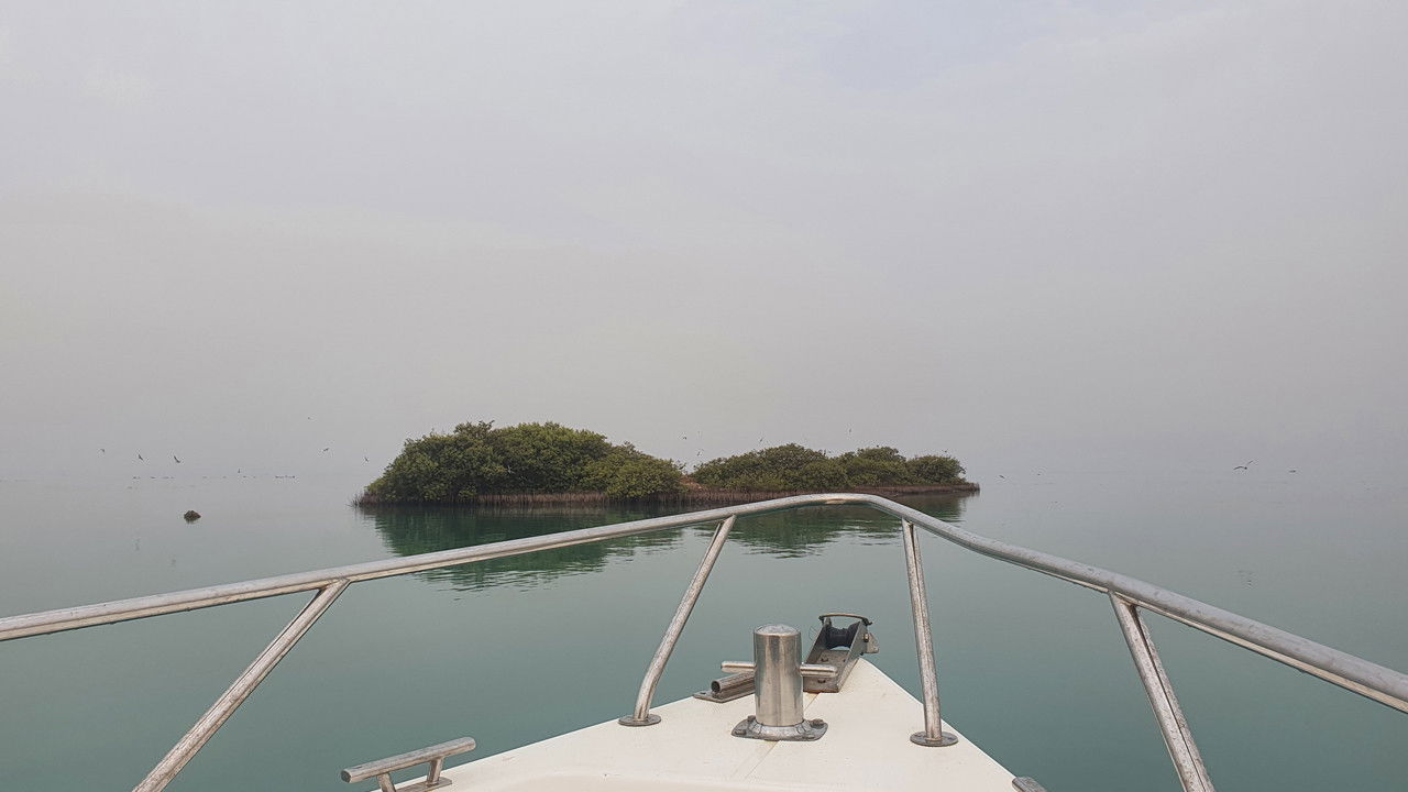 Jeta Jote Emri backdrop