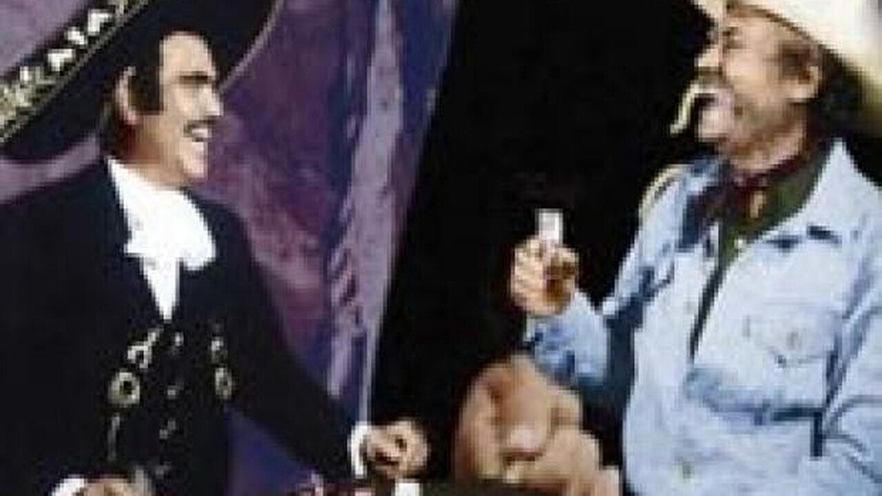 Një fokë për të dashuruar backdrop