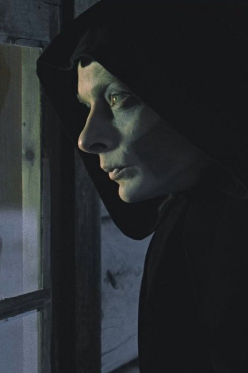 Donauschiffer poster