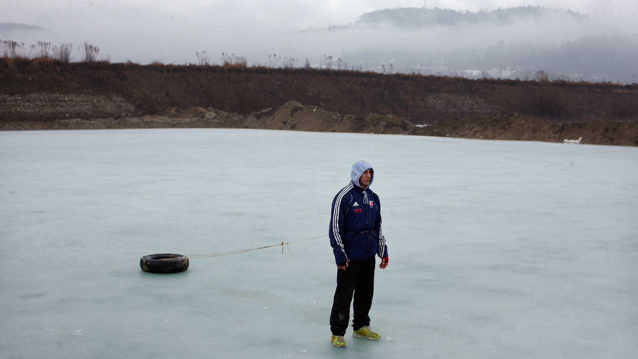 Si të ushqesh një gomar backdrop