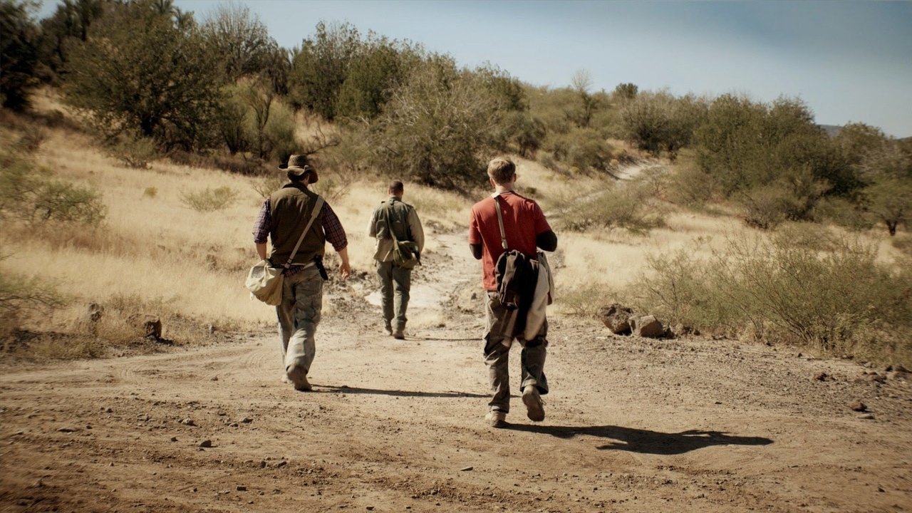 Arkë e Shkretëtirës backdrop