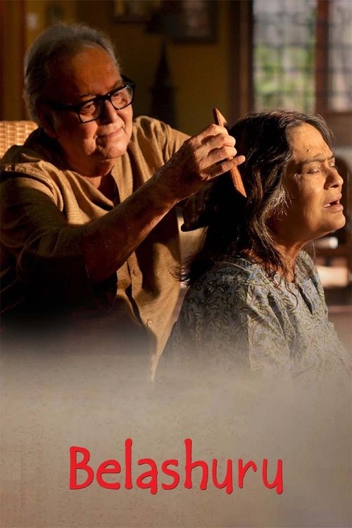 Magjepsja dhe Mjerimi poster