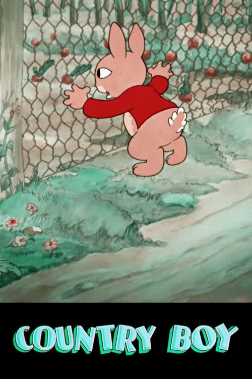 Krach und Glück um Künnemann poster