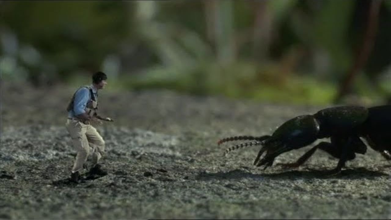 Një Këngë për të Dëshiruar backdrop