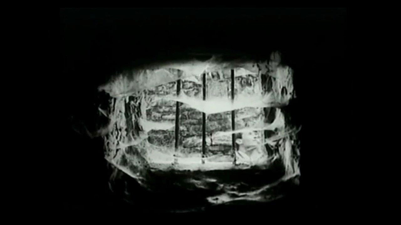 Krahina e Kufirit backdrop