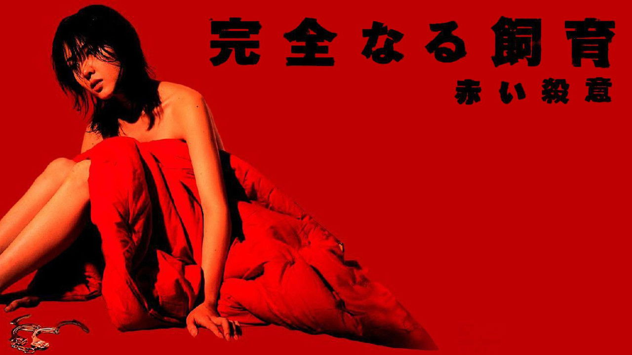 Kutia e Hënës backdrop