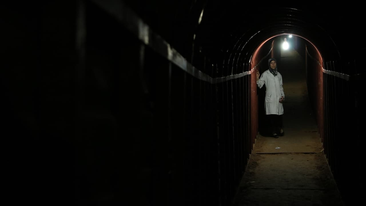 Drita e mëngjesit backdrop