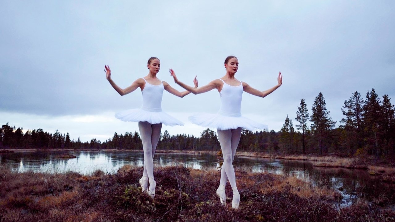 Moisiu Pa Shkop backdrop