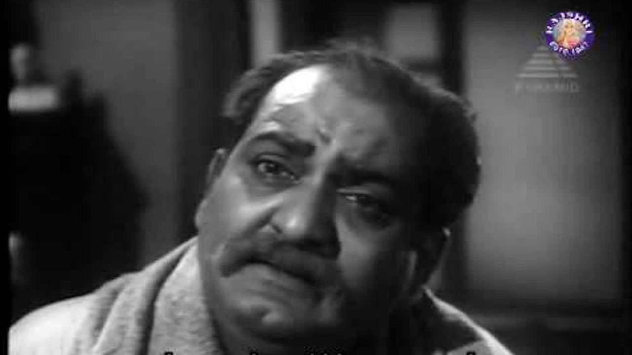 Hjuston, Teksas backdrop