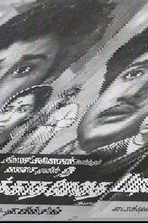 Hjuston, Teksas poster