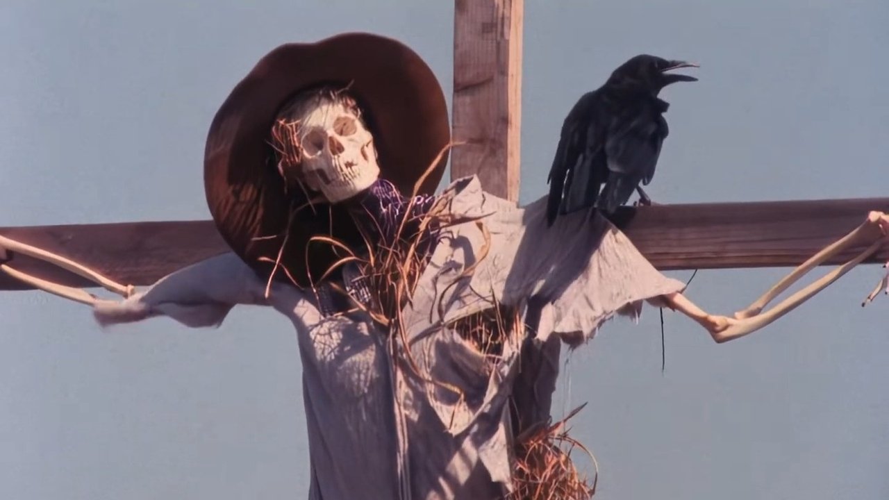 Miku më i mirë i njeriut backdrop