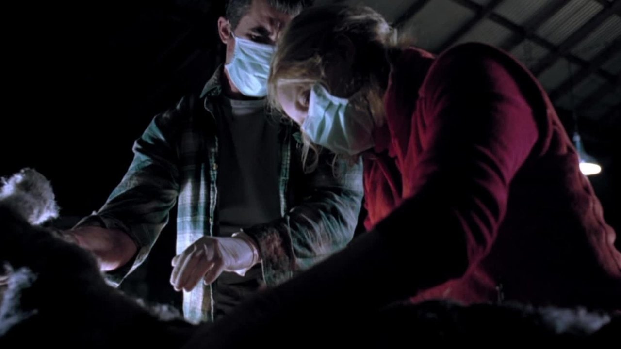 Dashi i Zotit: Killadelphia backdrop