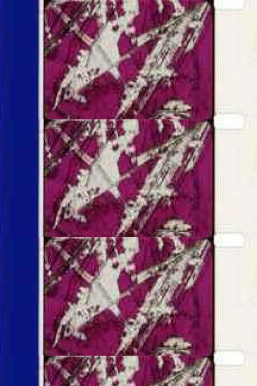 Prince Of Cunningness poster